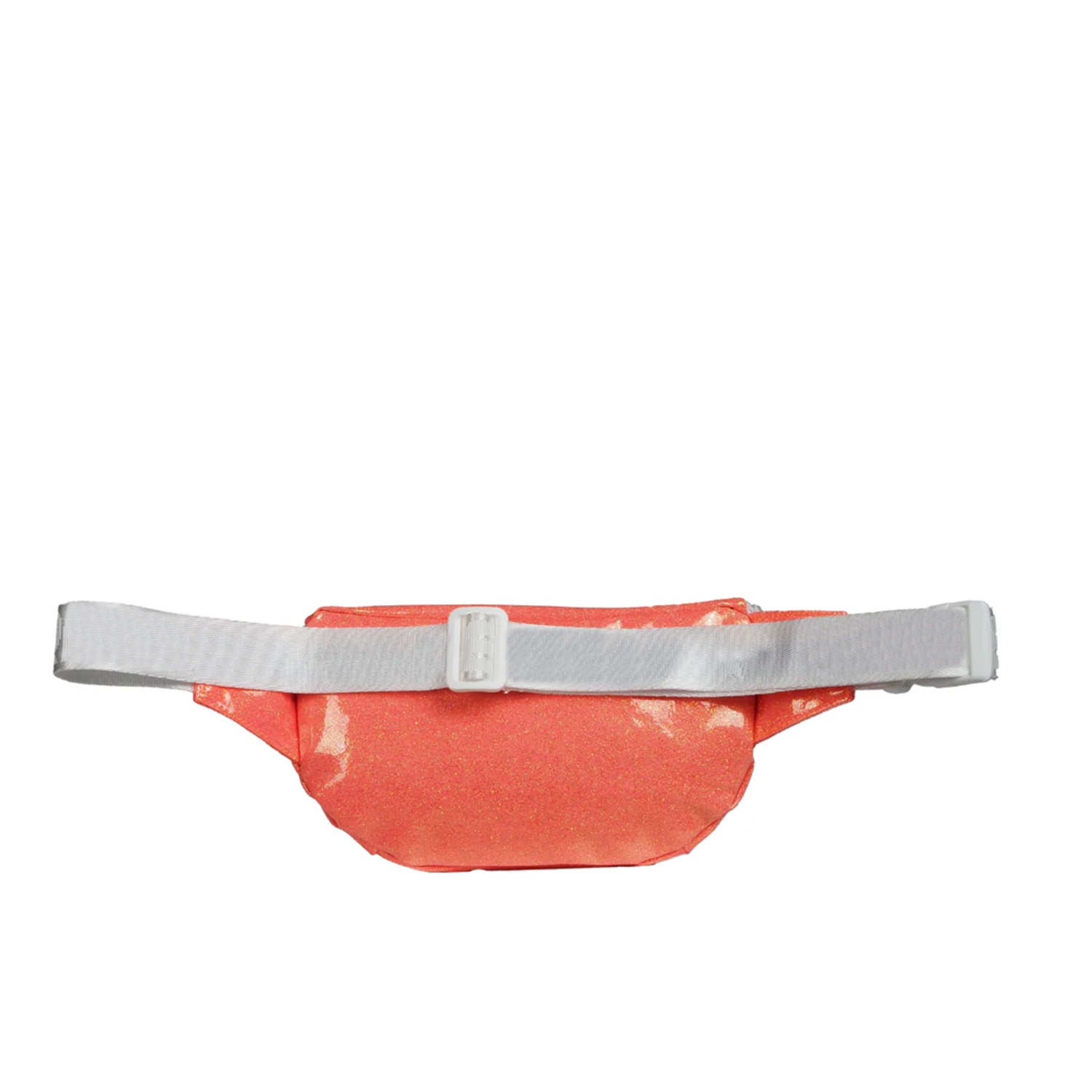 fanny-bag111111